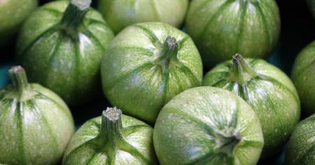 306180b15b7e1fb132ac88fbee5e0611_12.08.25