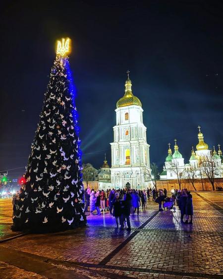 Стало відомо, чи встановлюватимуть новорічну ялинку у Києві