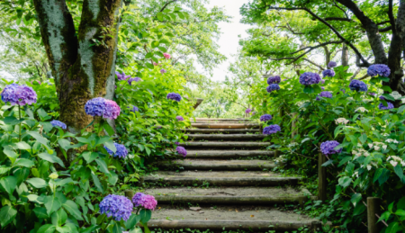 Літо набирає обертів: спекотно, сонячно, але місцями з дощем