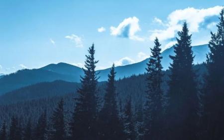 34a4ba88d94b6e7f10d2a727851fa0ee_01.03.25_1