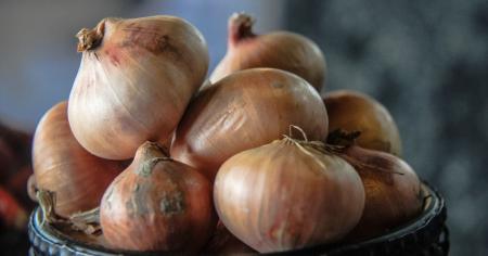 352d07838526c320aaf30549813592ad_03.08.25