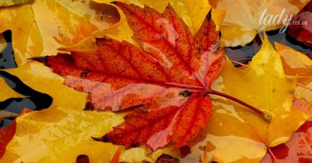 Гороскоп на 20 вересня для всіх знаків зодіаку: час, коли енергетику дня легко можна зруйнувати