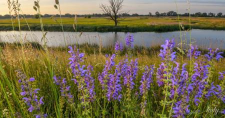 Гороскоп на 4 травня для всіх знаків зодіаку: день, коли потрібно визнати свої помилки