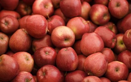 Цікавий факт: що буде з організмом, якщо кожного дня їсти яблука