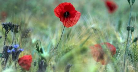 3b473cb5bcde401d067e2db4fc374859_03.05.25_1