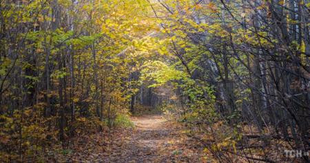 Гороскоп на 26 вересня для всіх знаків зодіаку: день, який мине тихо