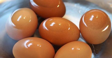 3f127eabba4b79c3d1933e61b3c531fc_14.09.25