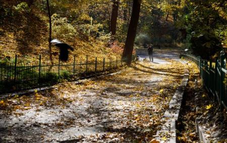 Цьогорічна осінь в Києві посіла друге місце серед найтепліших в історії