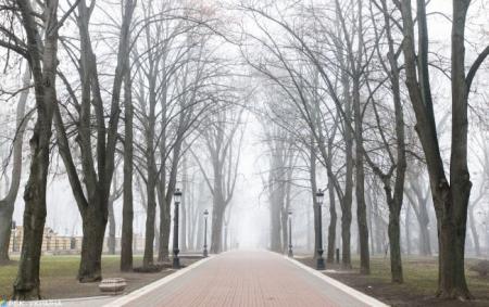 Туман і до +15 тепла. Синоптики розповіли про погоду в Україні на 22 березня