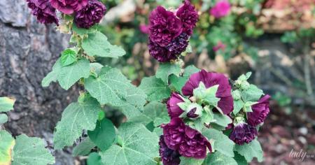 Гороскоп на 13 липня для всіх знаків зодіаку: день, коли можна потрапити під вплив непорядних людей