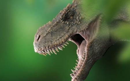 Дурень чи розумник: вчені відповіли, чи був гігантський тиранозавр кмітливим, як гадали раніше
