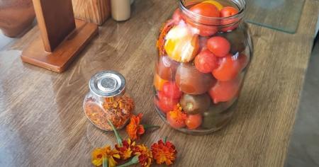 409bd9e97d36d6503b18c8660b5e396a_27.08.25