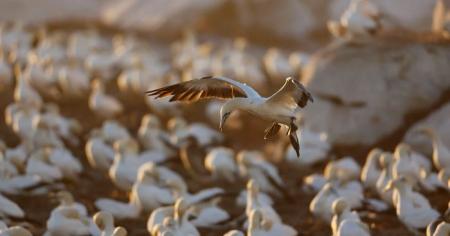 40f781991470575ca6de7688355f04c1_19.05.25_1