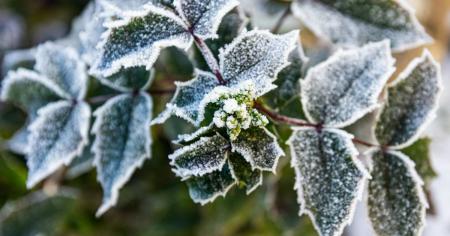 410532d8176f9f5ab95c06a804d698f8_25.09.25