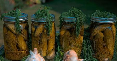 412c58ea53a9696dbdc61022a8235b41_03.10.25