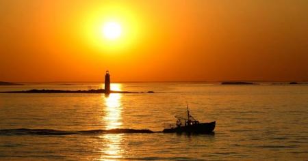 Гороскоп на 11 червня для всіх знаків зодіаку: один із найбільш гармонійних днів місячного циклу