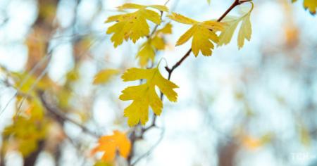 Гороскоп на 4 жовтня для всіх знаків зодіаку: день, коли потрібно утриматися від активних дій