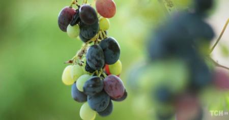 Гороскоп на 13 вересня для всіх знаків зодіаку: день, коли потрібно обмірковувати нові ідеї