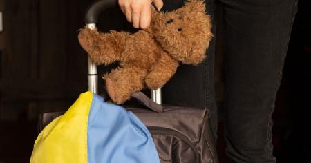 Фінляндія хоче скасувати допомогу для інтеграції українців - що це означає