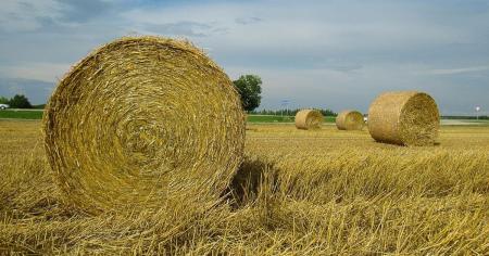 В Україні 17 серпня очікуються дощі та грози, місцями з градом, удень до +32°