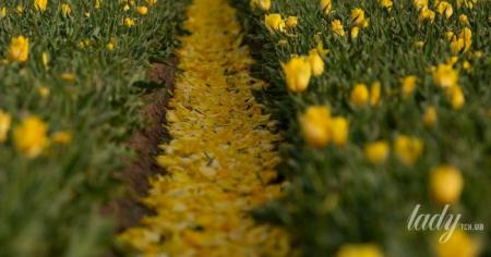 Гороскоп на 22 квітня для всіх знаків зодіаку: день, коли не можна розмінюватися на дрібниці