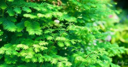 4a554ee39dbfa629633a82957c32d2a3_14.07.25