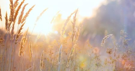 Гороскоп на 9 вересня для всіх знаків зодіаку: день, коли люди виявлятимуть слабкість