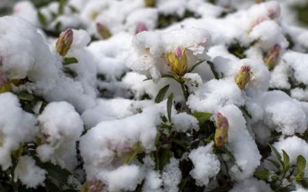 Коли прийде весняне тепло: прогноз погоди в Україні на п'ять днів