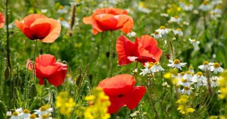 4d9a411a933dbc1dc8662998342bbd1c_01.07.25_1