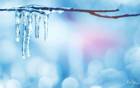 4e0765d9dc44dd921ee4216db23c3d6e_02.03.25_1