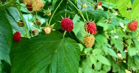 50013c4e65cd12ac98a417f5fc72caa8_04.08.25