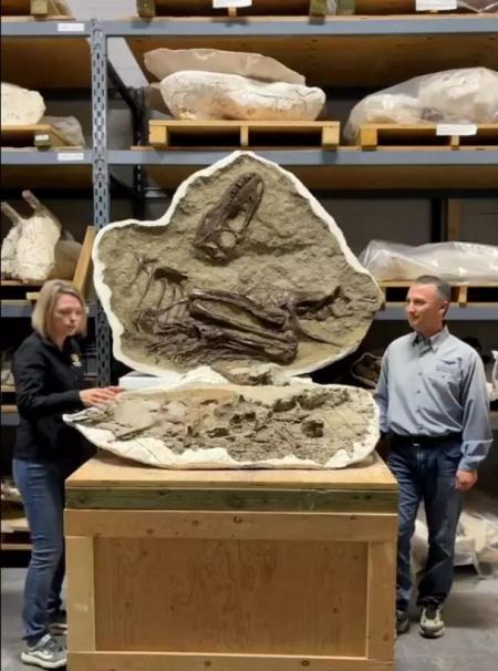Вчені виявили останню трапезу 75-мільйолітнього тиранозавра: що це було