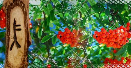 541e8876498be7046f7cdfe4c6769917_05.08.25