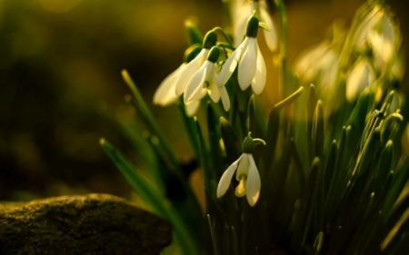 548408d9f758185f6fca5caef8acff67_11.03.25_1