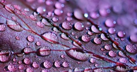 57554ca37b39645f90bd934f680e2abe_05.10.25