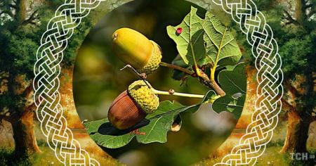 57f10ca6b22e6d31fb026fd96f7f5b41_08.08.25