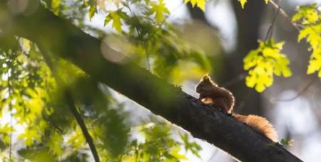 57f11670-eccd0cd40f797fe4698c3cdb52a1b5fe_07.03.25_1