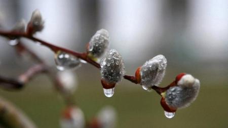 Мокрий сніг, свіжий вітер та ожеледиця: якою буде погода в Україні 7 березня