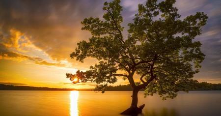 Якою буде погода в Україні до 2030 року: прогноз метеорологині