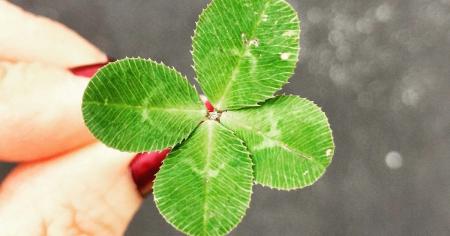 На них посиплються золоті гори: восени 2025 року на ці три знаки зодіаку чекає фінансовий успіх