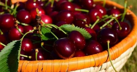 5b67329b62f380f19155a547223c7003_29.06.25_1