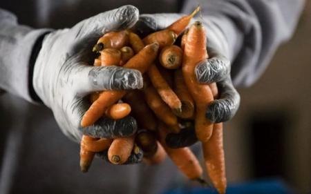 5bd76b574ebc54508313933ac3ff7ff1_17.01.25_1