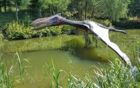 Знайдено новий вид динозаврів: де виявили рептилію та у чому її особливость