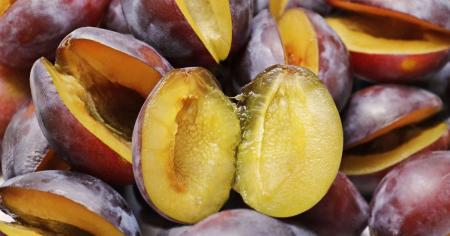 5c6e4c0e684385321c102e5eaa443522_07.08.25