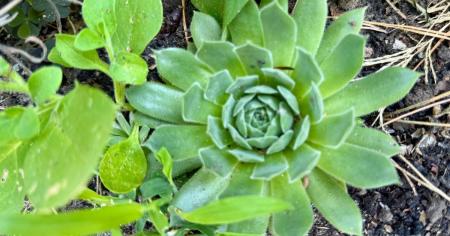 5c987f91f579e01cf055ba5e2d1926b2_13.08.25