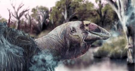 Археологи знайшли унікальний череп предка гуски: гігант був вдвічі важчим за людину