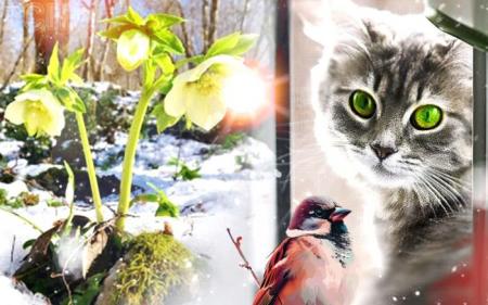 5ff2fa9982173ccf50658b9965d7c8c4_27.02.25_1