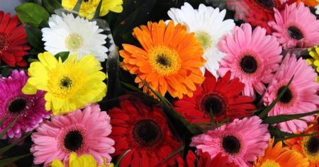 62fb5860400af4db6af0cada435f500d_24.07.25