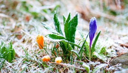 630_360_1554219804-647_01.05.25