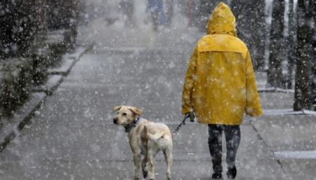 Сніг і дощі: перший зимовий вікенд буде незвично теплим для грудня